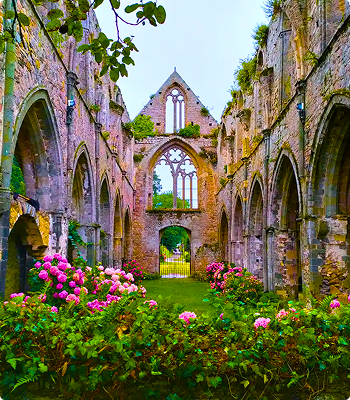 image Abbaye de Beauport